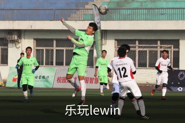 乐玩lewin公司简介